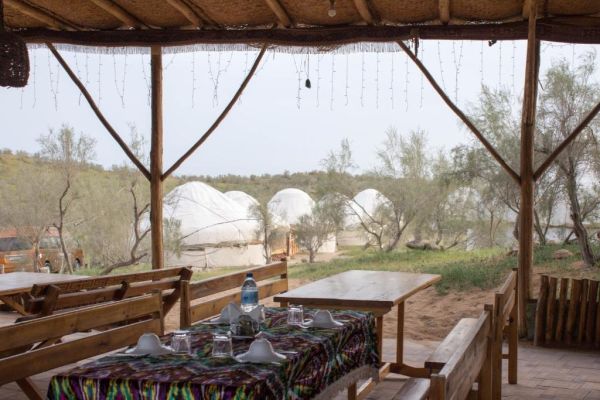 Kyzylkum Nights Camp & Family Yurt
