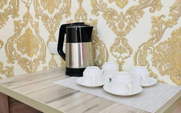 Mini-hotel Alisher Hotel