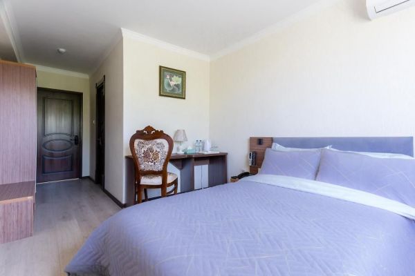 Central Asia Hotel