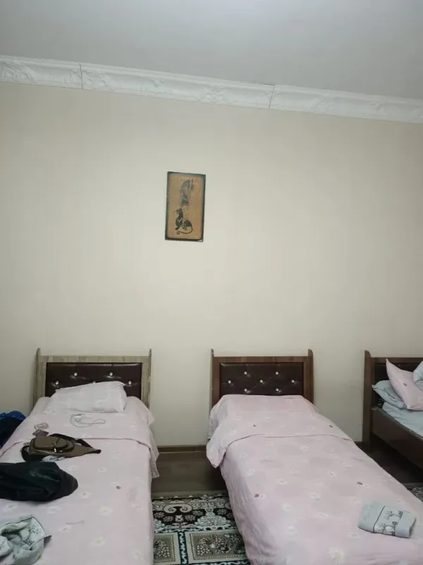 Sam Greenhouse Hostel