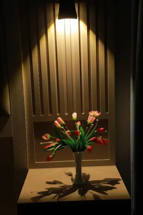 Human hotel