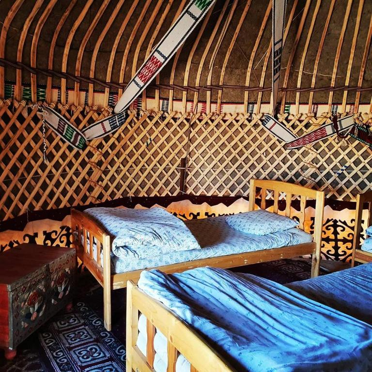 Kyzylkum Nights Camp & Family Yurt