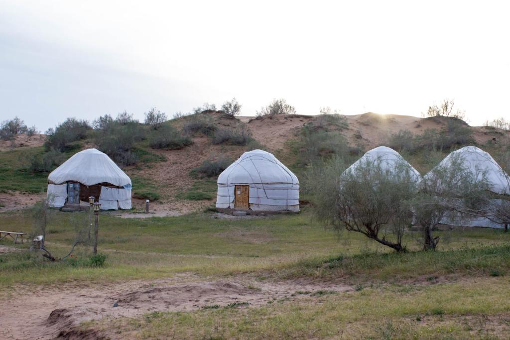 Kyzylkum Nights Camp & Family Yurt