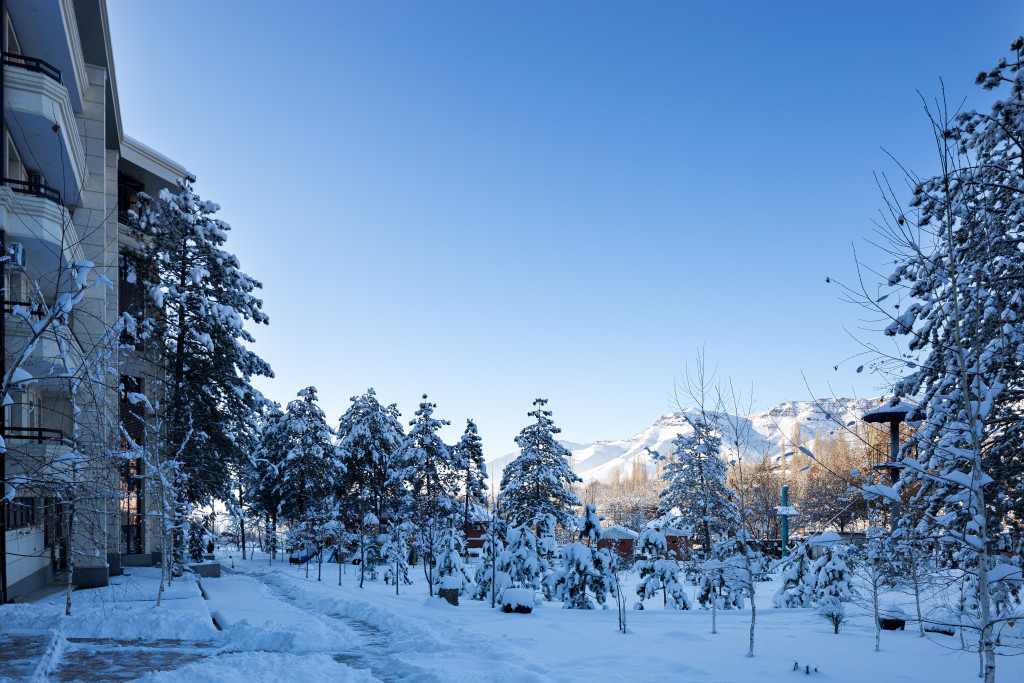 Edelweiss Hotel & Resort