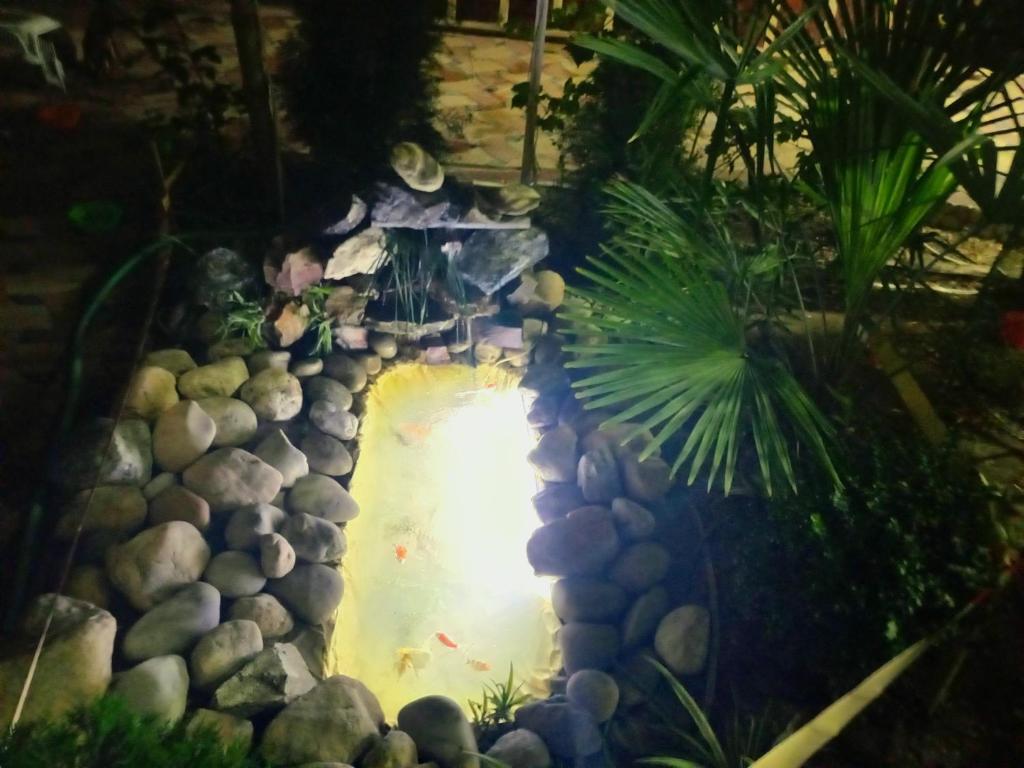 Hotel Botanical