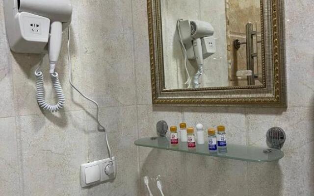 Mini-hotel Alisher Hotel