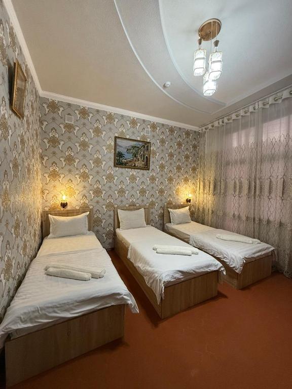 Зона отдых APACHI в горах ЧИМГАН