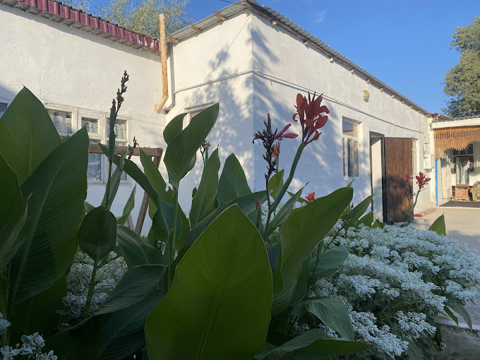 Dilbar Guest House