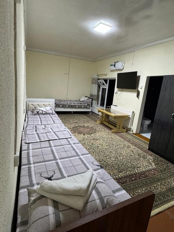 MOHINUR Hostel