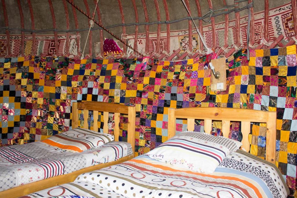 Kyzylkum Nights Camp & Family Yurt