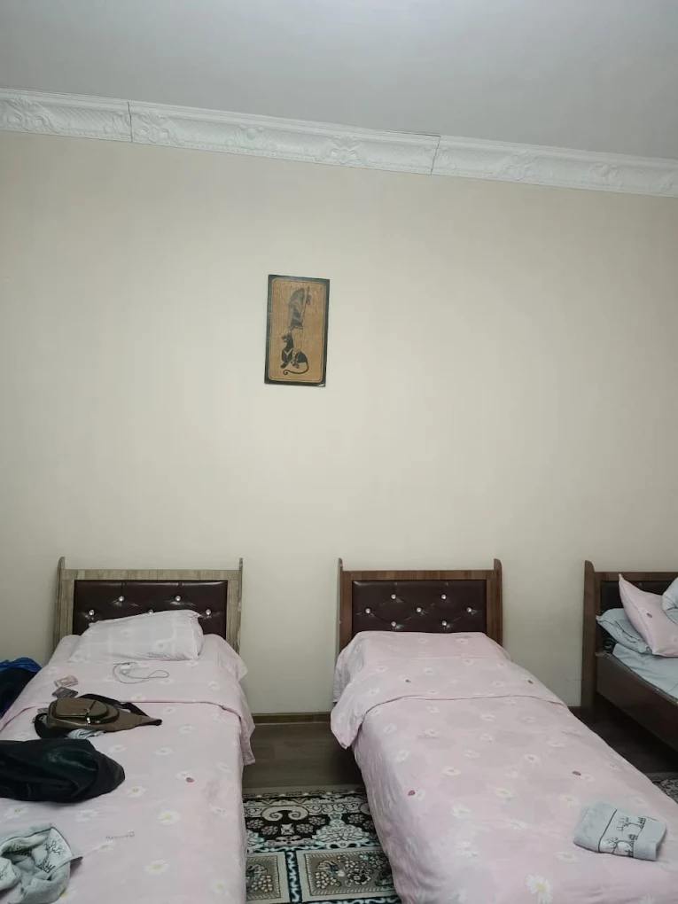 Sam Greenhouse Hostel