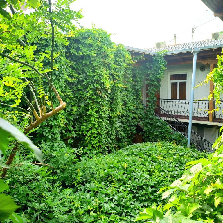 Hotel Botanical