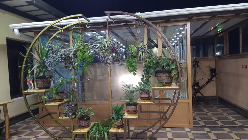 Rohat Hostel