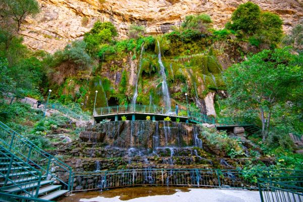 Sangardak sharsharasi