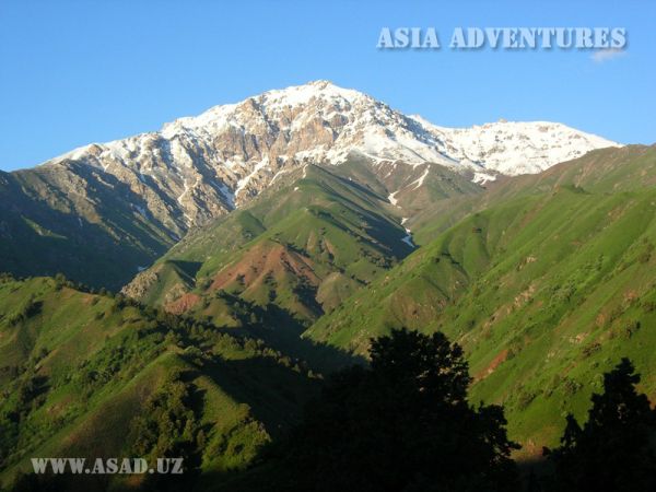 Chotqol tog‘-o‘rmon davlat biosfera qo‘riqxonasi