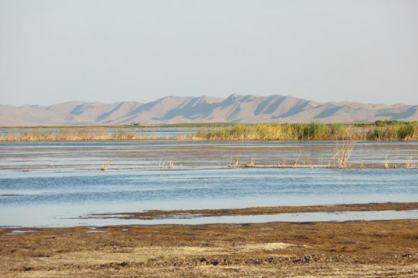 Aydarkul Lake