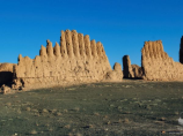 Quyi Amudaryo davlat biosfera rezervati