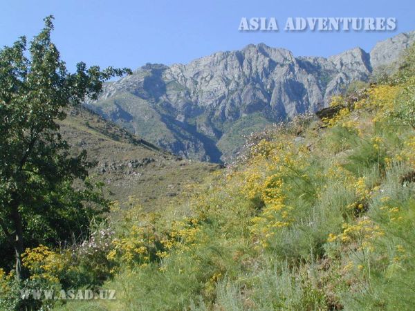 Nuratinsky Mountain Walnut State Reserve