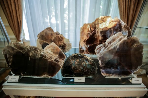 Geological Museum of Uzbekistan