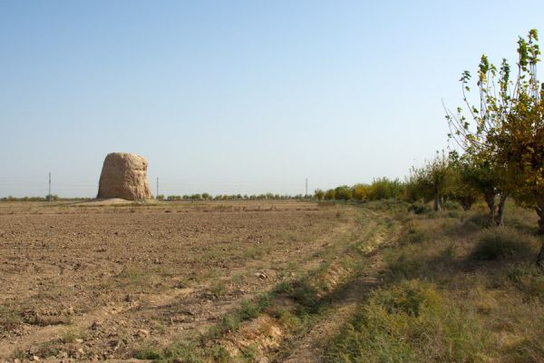 Buddhist Stupa of Zurmala