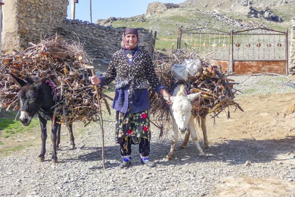 Mountain villages (villages) of the Farish region