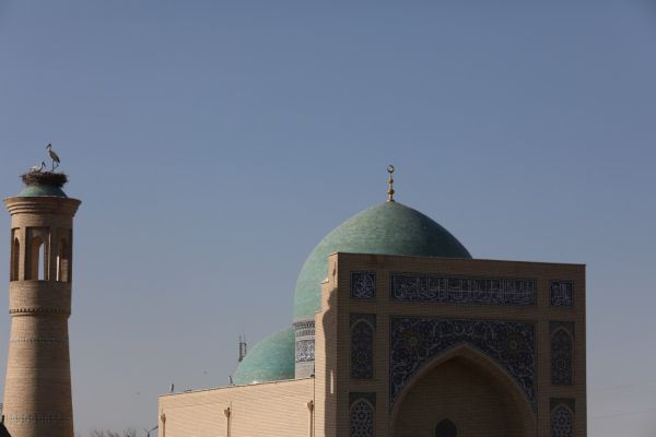 Kulichboy Madrasah