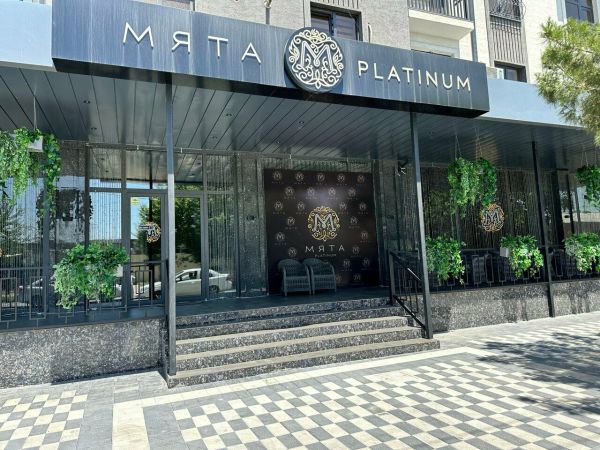 Mint Platinum