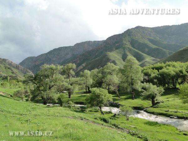 Zaamin National Nature Park
