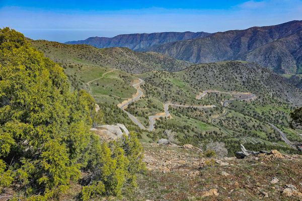 Zaaminskoe reservoir