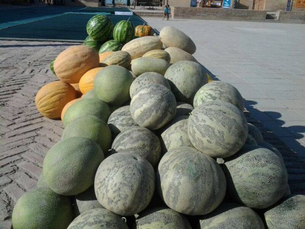 Melon Festival