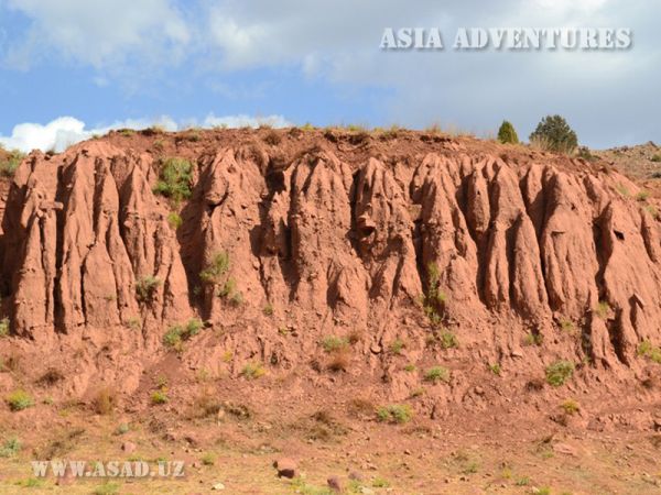 Surkhan State Nature Reserve