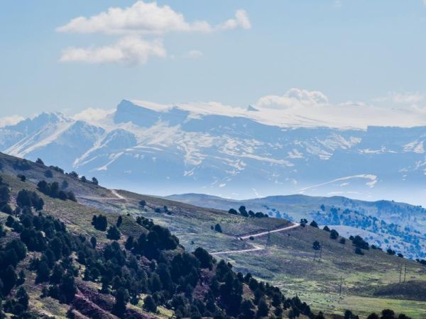 Gissar Mountain Juniper State Reserve