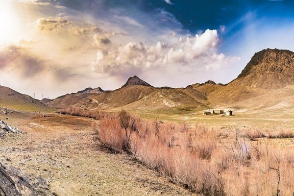 Qizilqum davlat qo'riqxonasi