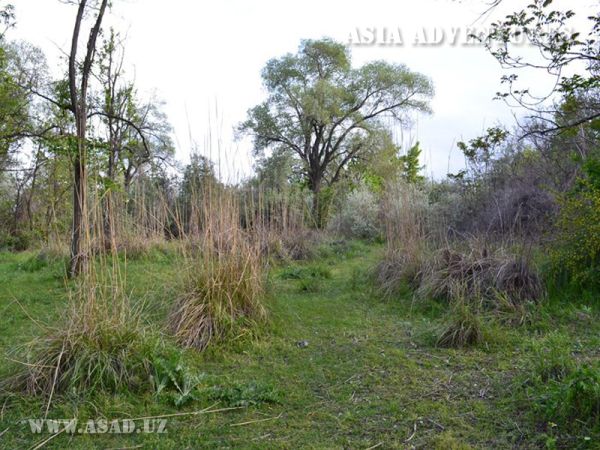 Zarafshan Dolinno-Tugai State Nature Reserve