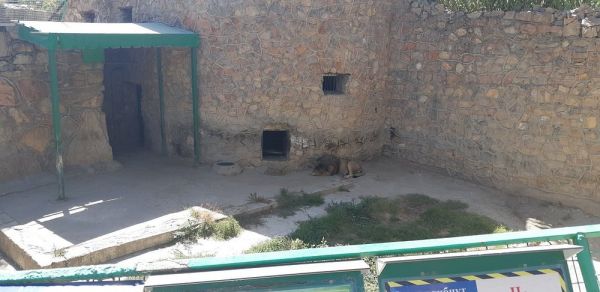 Tashkent Zoo