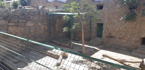 Tashkent Zoo