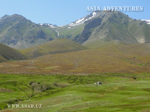Chatkal Mountain Forest State Biosphere Reserve