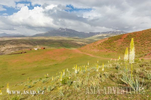 阿米尔帖木儿的洞穴