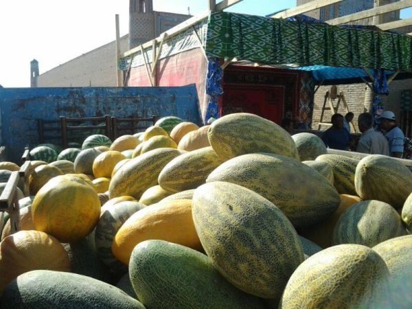 Melon Festival