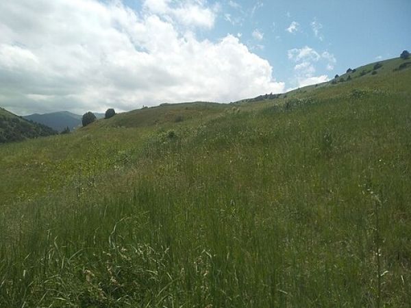 Nuratinsky Nature Reserve