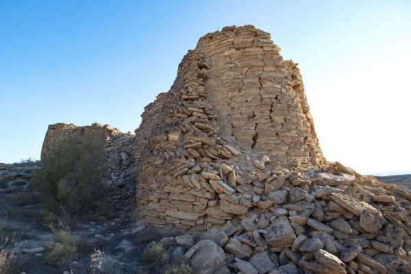 Аральского моря