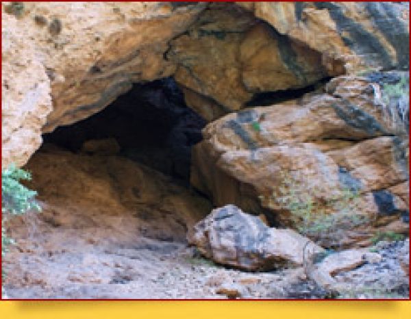 Surxon davlat qo'riqxonasi