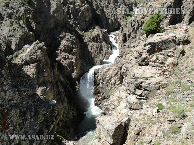 Chotqol tog‘-o‘rmon davlat biosfera qo‘riqxonasi