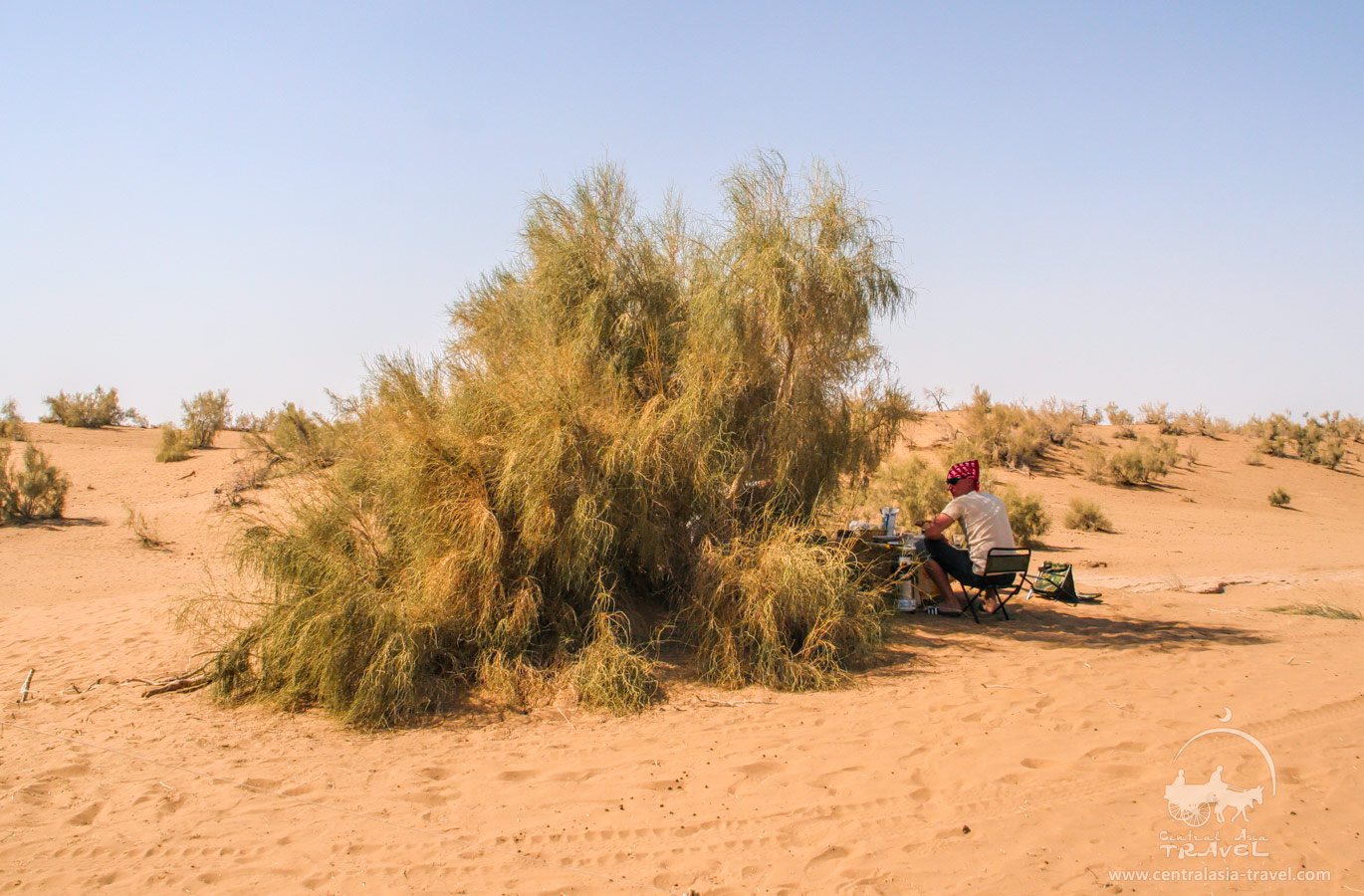 Qizilqum davlat qo'riqxonasi