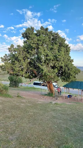 Zaamin State Nature Reserve