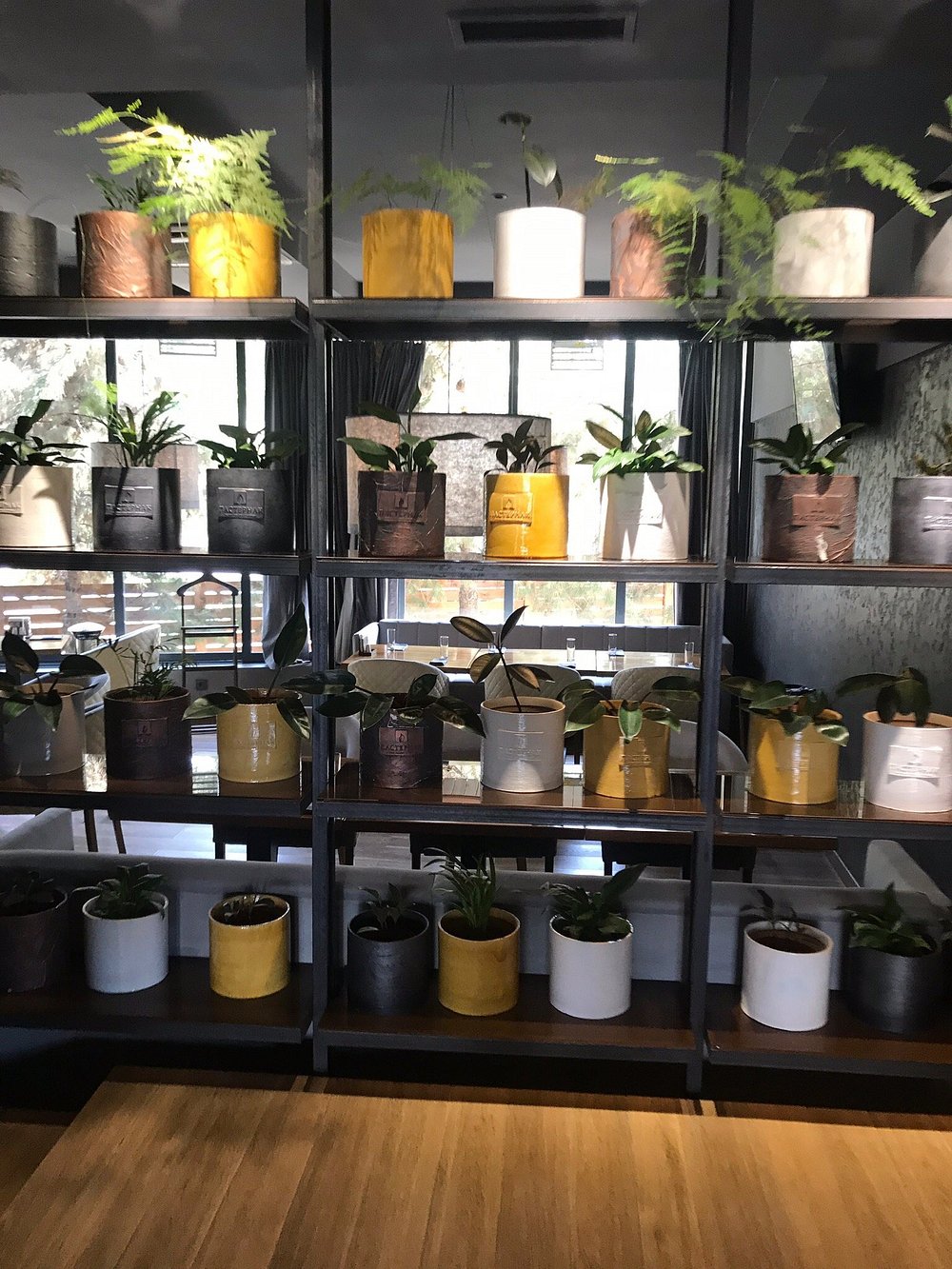 Pasternak Gastrobar Kovaleva va G'ulomova