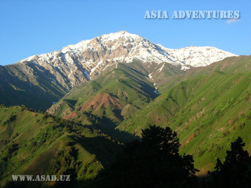 Chatkal Mountain Forest State Biosphere Reserve