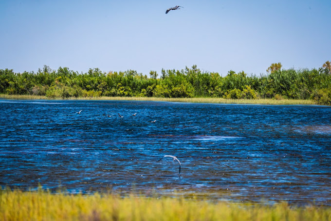 Ecological center "Jeyran"