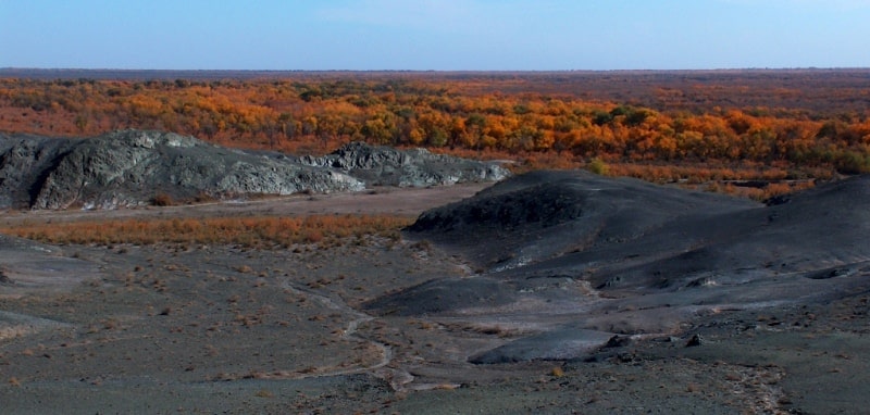 Badai Tugai Nature Reserve