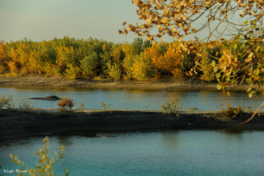 Badai Tugai Nature Reserve